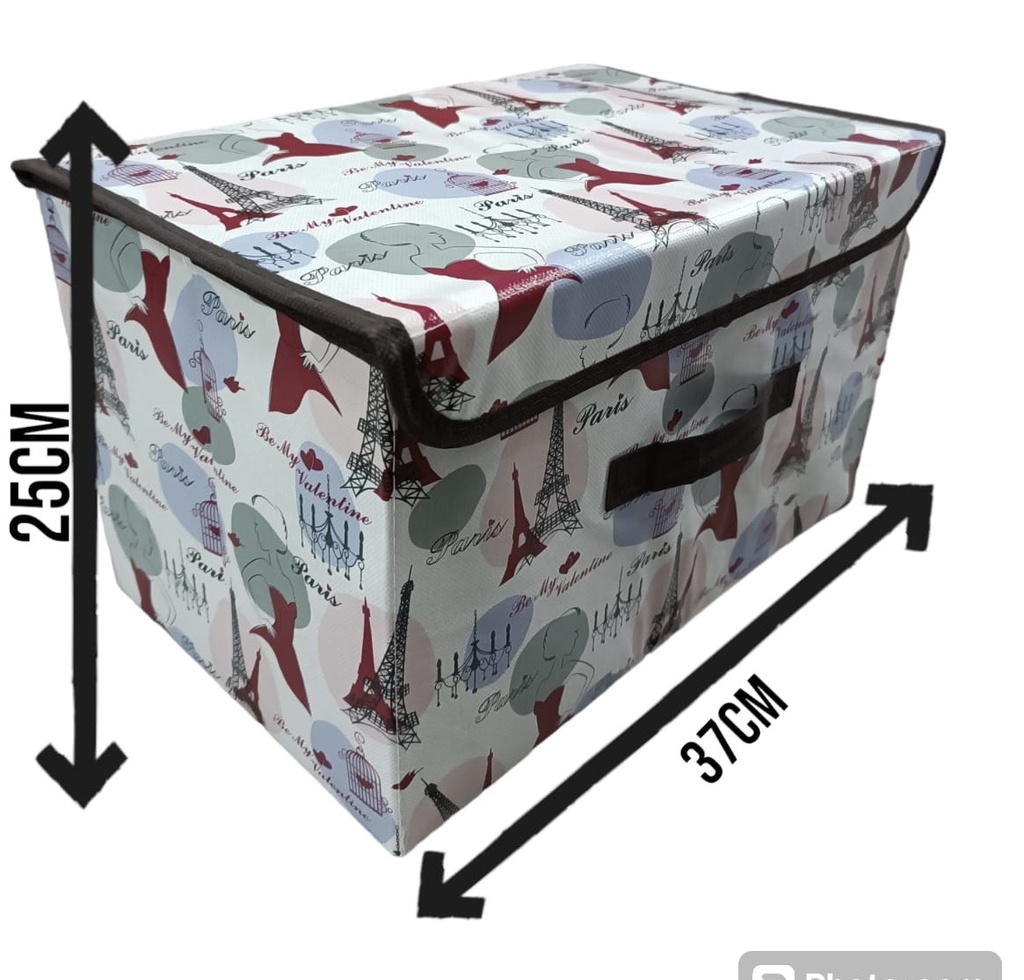 Caja De Guardar Estampada 25X37Cm