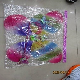 Alas de mariposa Arcoíris