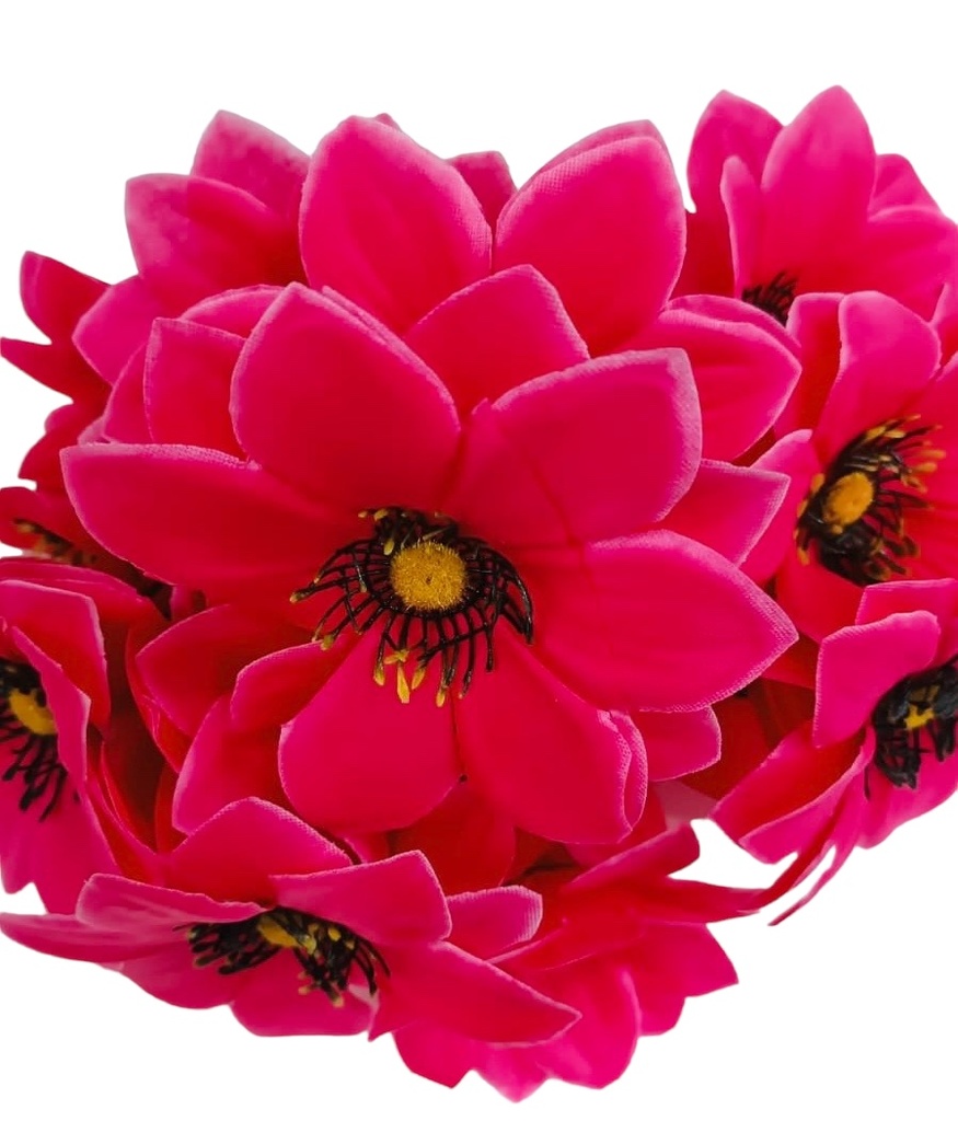 FLOR REINA MARGARITA
