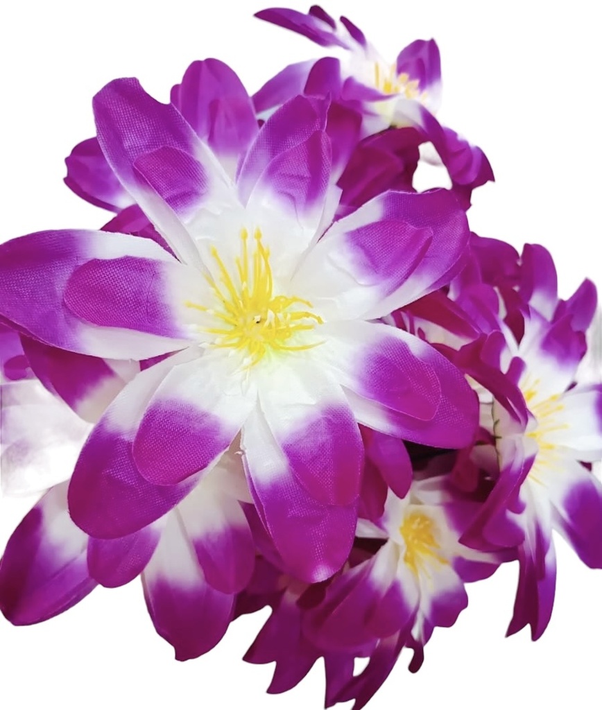 FLOR REINA MARGARITA Desarmado