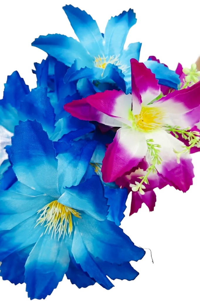 FLOR LIRIO DE DIA
