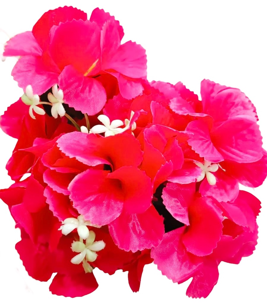 FLOR CAPUCHINA DESARMADA