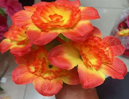 FLOR FRESIA